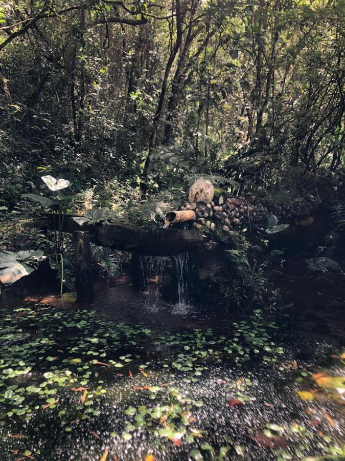 Hotel Sitio Porta Das Aguas Caxambu Exteriér fotografie